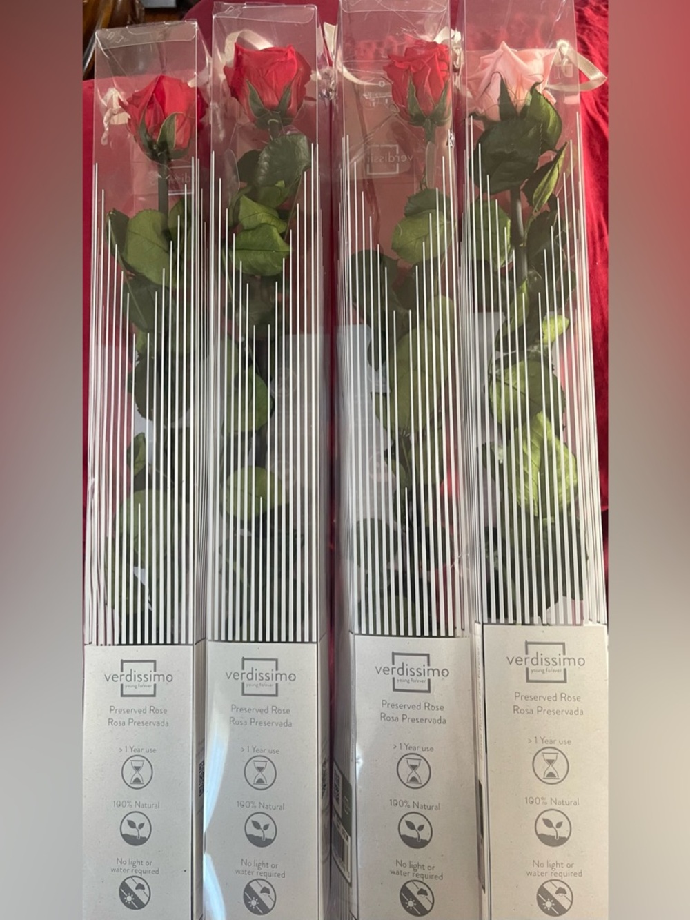 4 - Verdissimo Preserved Red and Pink Roses- Long Stem